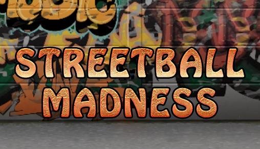 game pic for Streetball madness